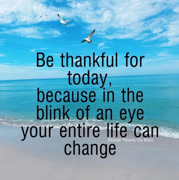 Jingle & Mingle Market POSHableTrain - Picture 6 of 12